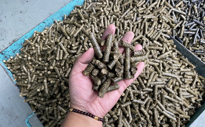 生物質顆粒燃料